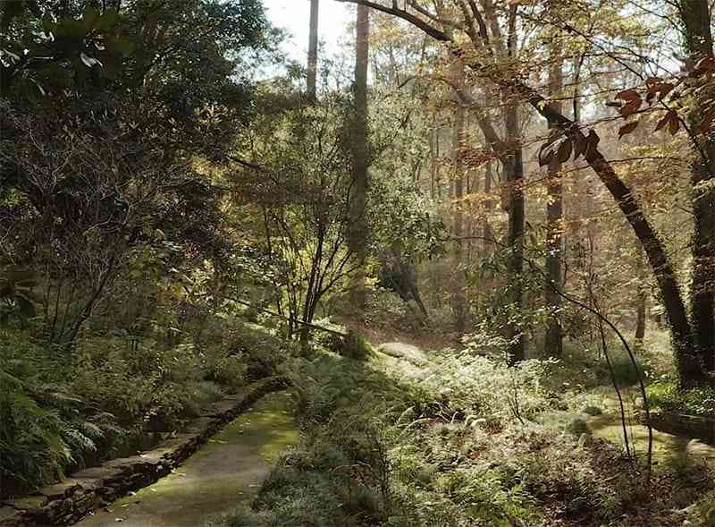 Louise Wrinkle's Garden.