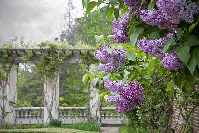 Blithewood Garden in Annandale-on-Hudson, New York.