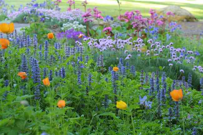 Chase Garden in Orting, Washington.