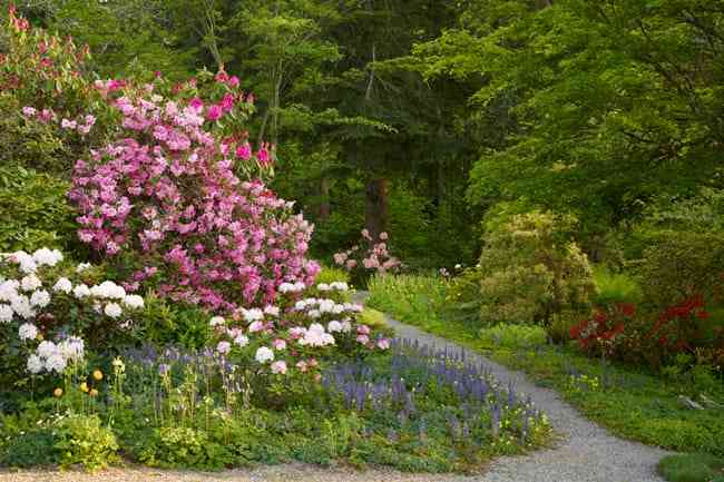 Chase Garden in Orting, Washington.