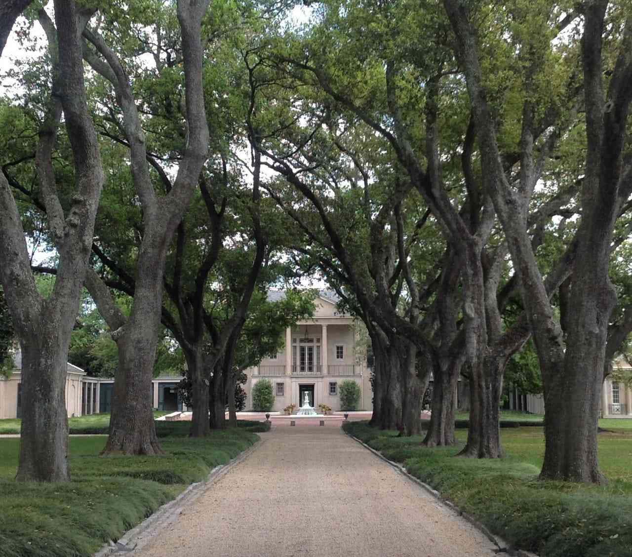 Oak allee to house at Longue Vue House & Gardens in New Orleans, Louisiana.