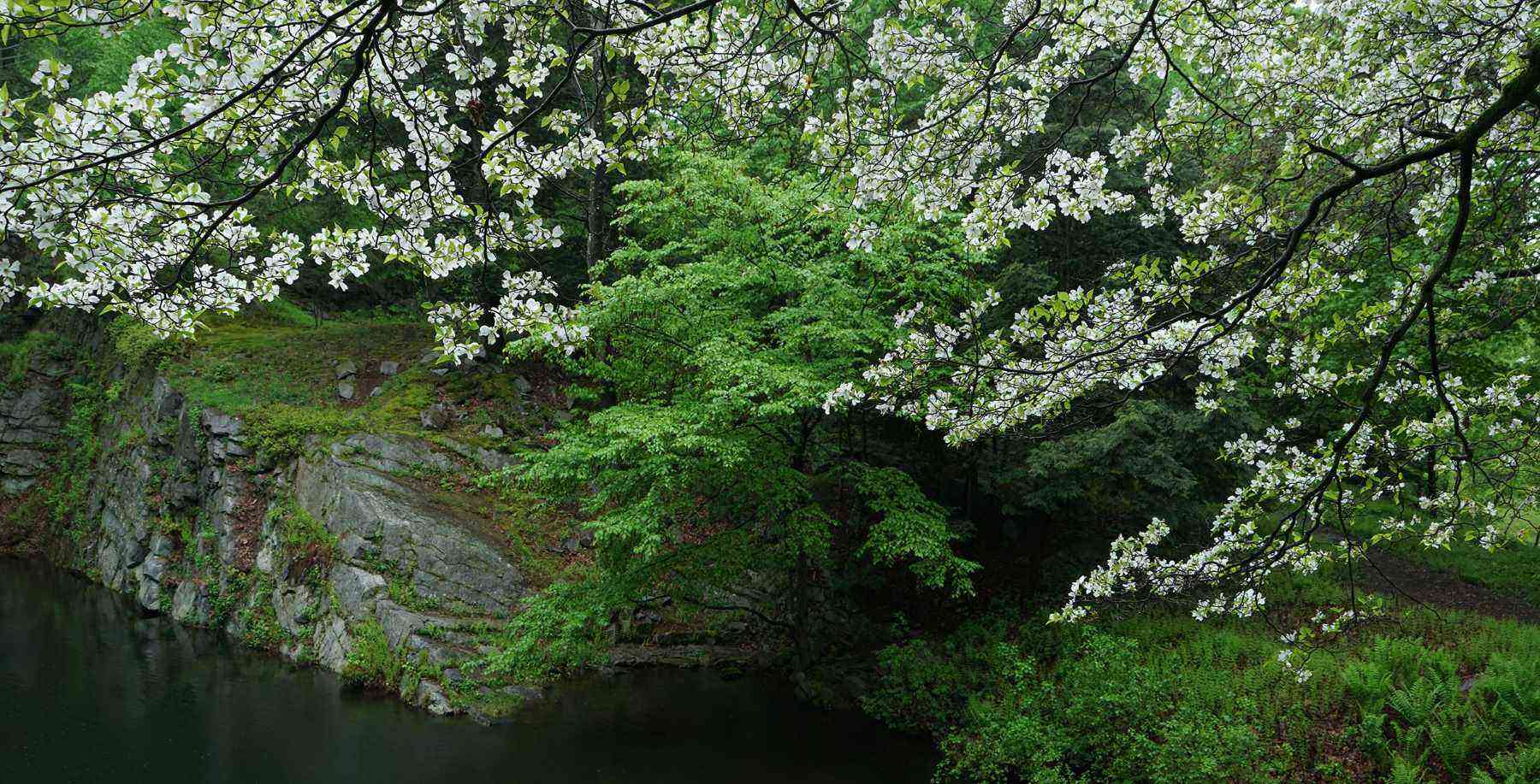 Manitoga in Garrison, New York.