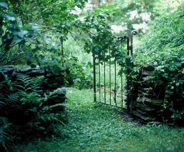 Metal gate at Steepletop Farmstead