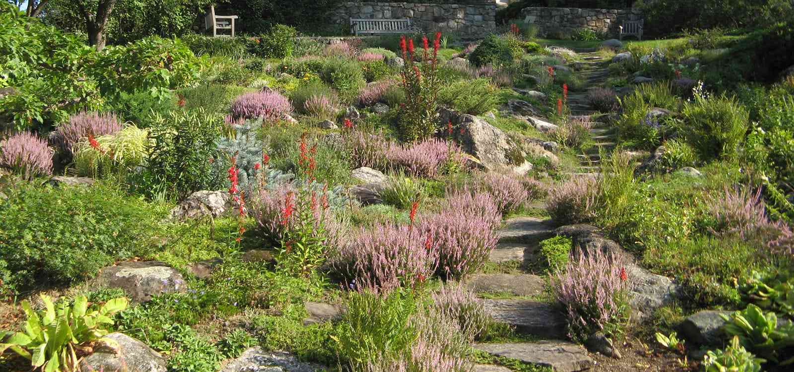 The Fells rock garden