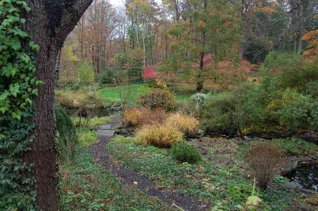 Rocky Hills in Mt. Kisco, New York.