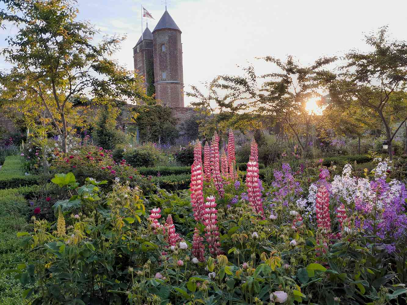 A garden in full bloom during springtime.