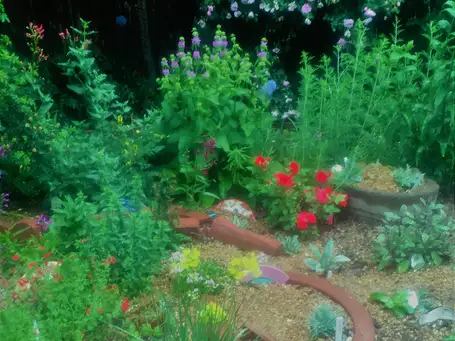Saturday, June 28 Open Day at Poppies, Perennials, and Tough Dainties
