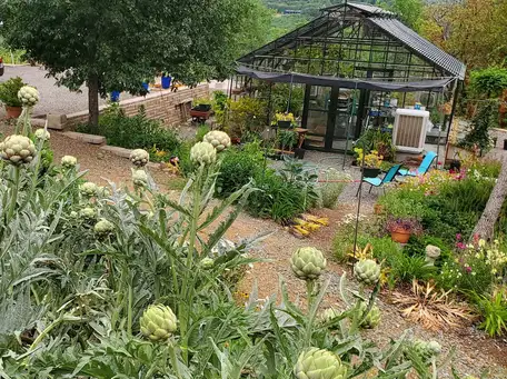 A Hillside Garden