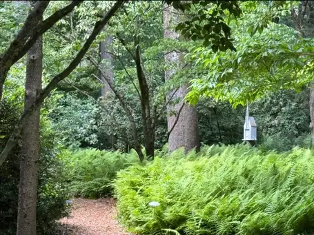 Ann and Haig's Garden