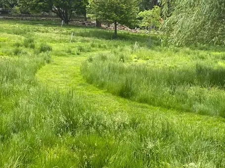 Saturday, September 20 Open Day at Prospect Gardens Westport