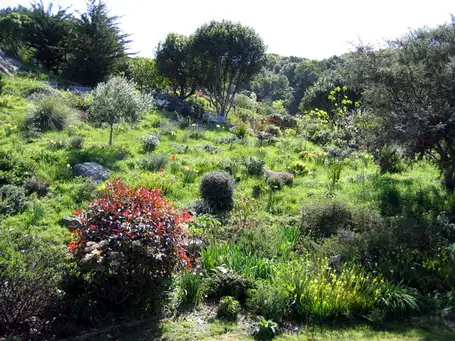 Saturday, May 30 Open Day at The Panoramic Garden