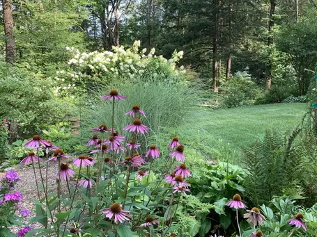Saturday, June 14 Open Day at Garden of Meg and Jim Dalton