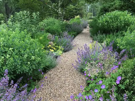 Saturday, June 14 Open Day at Church House-The Garden of Page Dickey and Bosco S