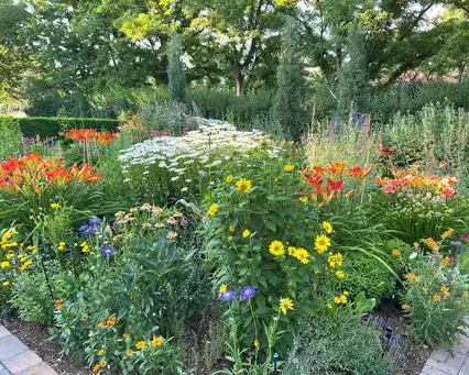 Saturday, September 13 Open Day at The Bosler House Gardens 10am-12pm
