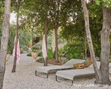 Digging Deeper: Designing In Situ: Responding to Micro Climate and Architecture