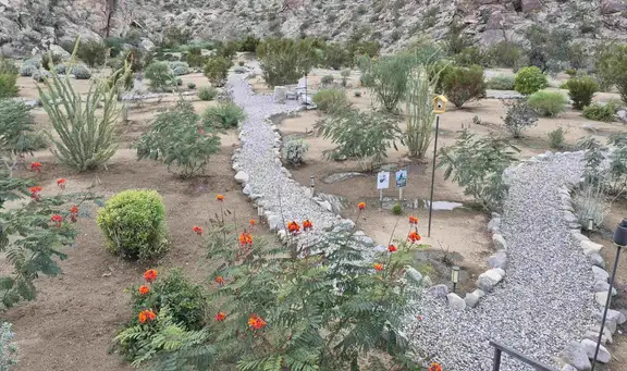 Saturday, March 21 Open Day at Anton-Histed Nature Preserve