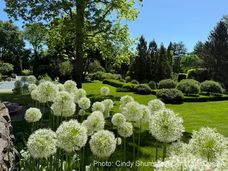 Saturday, May 31 Open Day at Prospect Gardens Westport