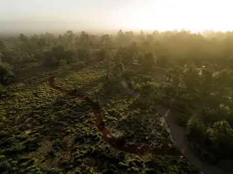 Whole Works of Art: Four Centuries in Three Gardens