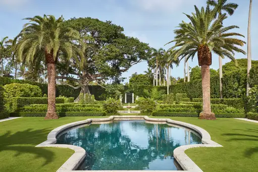 The Young Man and the Tree:  Fernando Wong Landscape Design