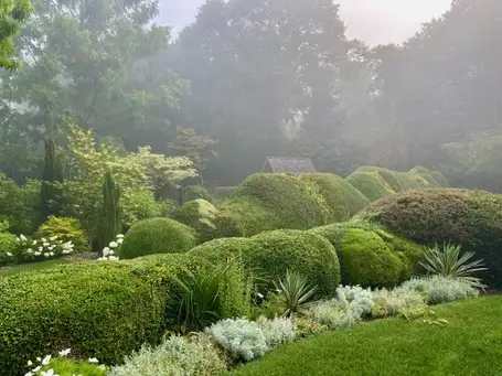 Saturday, May 16 Open Day at Uptop