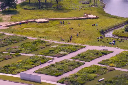 Digging Deeper: Oudolf Garden Native Meadows Exploration