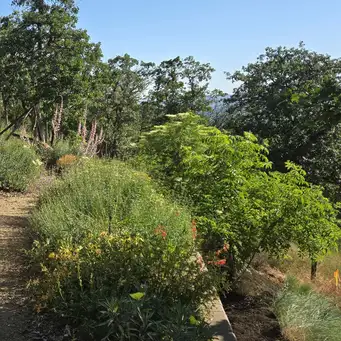 A Hillside Garden