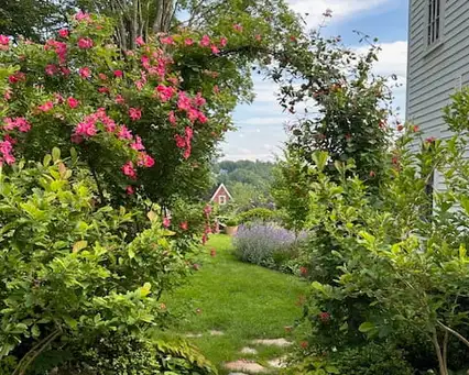 Hidden Pocket Garden