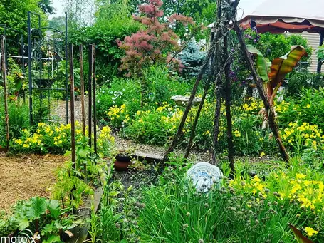 Becky's Wild and Wonderful Garden- Saturday, August 8 - Session 2: 1pm-4pm