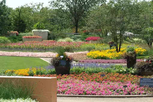 Open Day at The Gardens at Ball- Saturday, August 15, Session 2