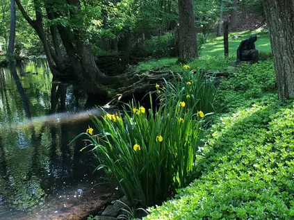 Saturday, May 17th Open Day at Mila & Barry's Garden
