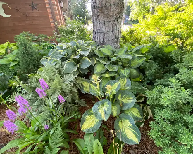 The Garden Conservancy Preservation Partner Garden