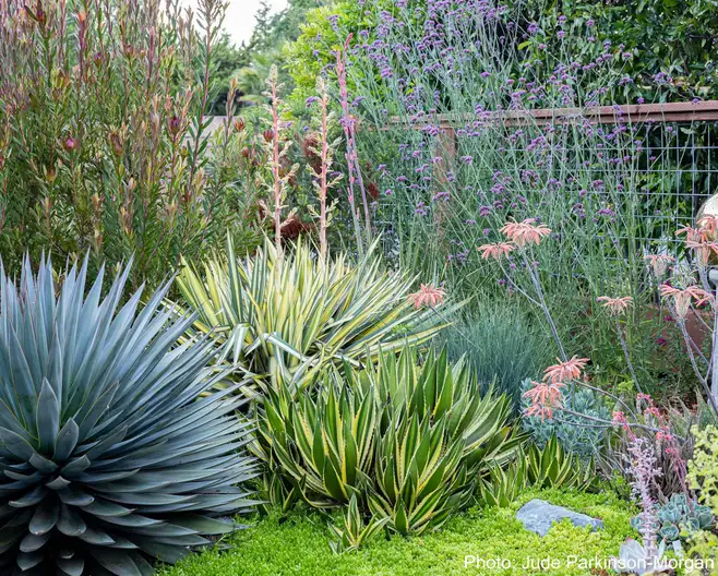 The Garden Conservancy Preservation Partner Garden