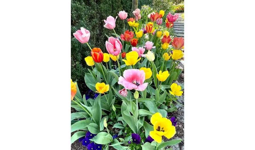 The Garden Conservancy Preservation Partner Garden