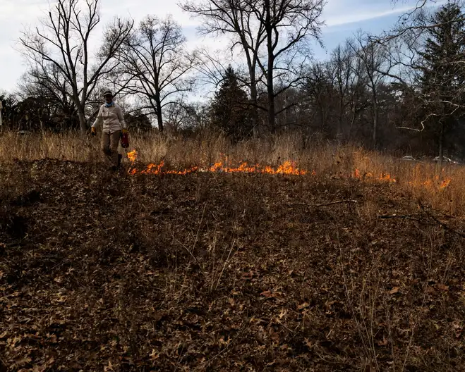 The Garden Conservancy Preservation Partner Garden