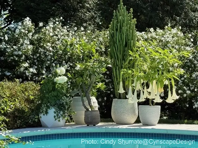 The Garden Conservancy Preservation Partner Garden