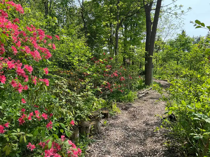 The Garden Conservancy Preservation Partner Garden