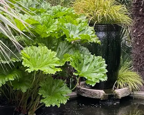 The Garden Conservancy Preservation Partner Garden