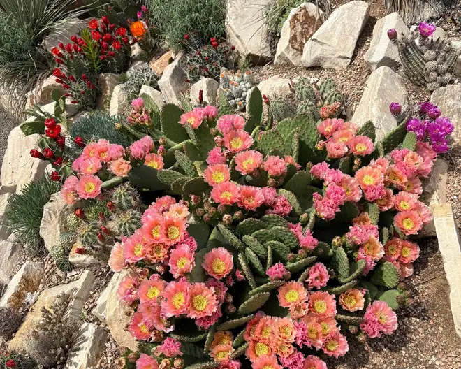 The Garden Conservancy Preservation Partner Garden