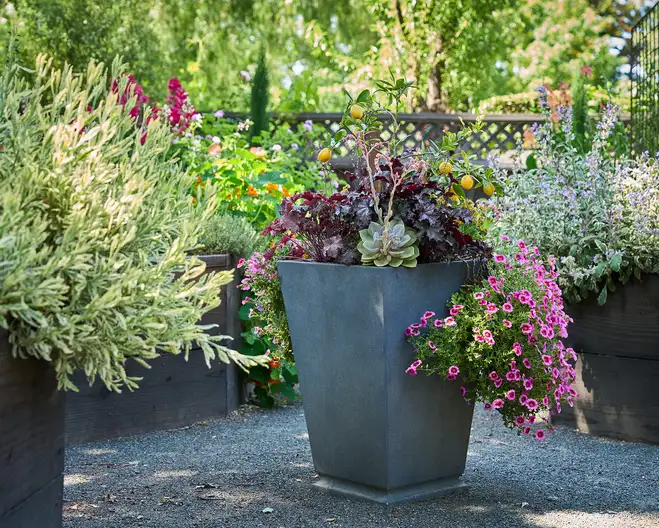 The Garden Conservancy Preservation Partner Garden