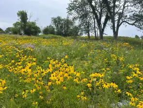 The Garden Conservancy Preservation Partner Garden