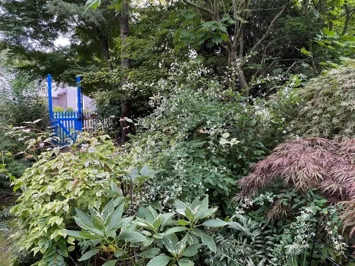 The Garden Conservancy Preservation Partner Garden
