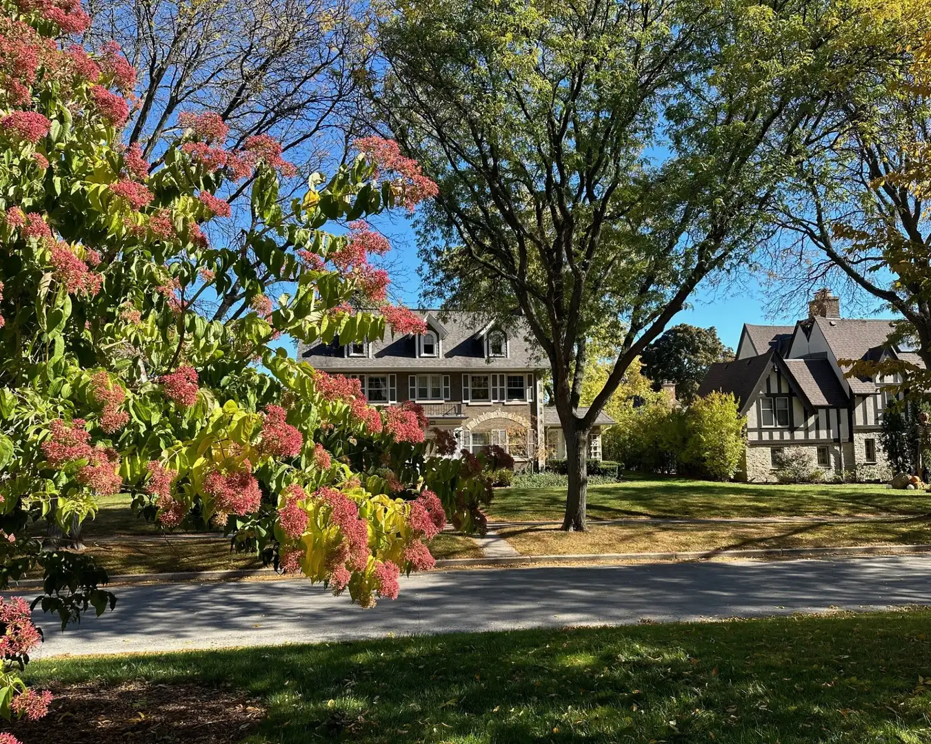 Digging Deeper: Washington Highlands Saturday 10am