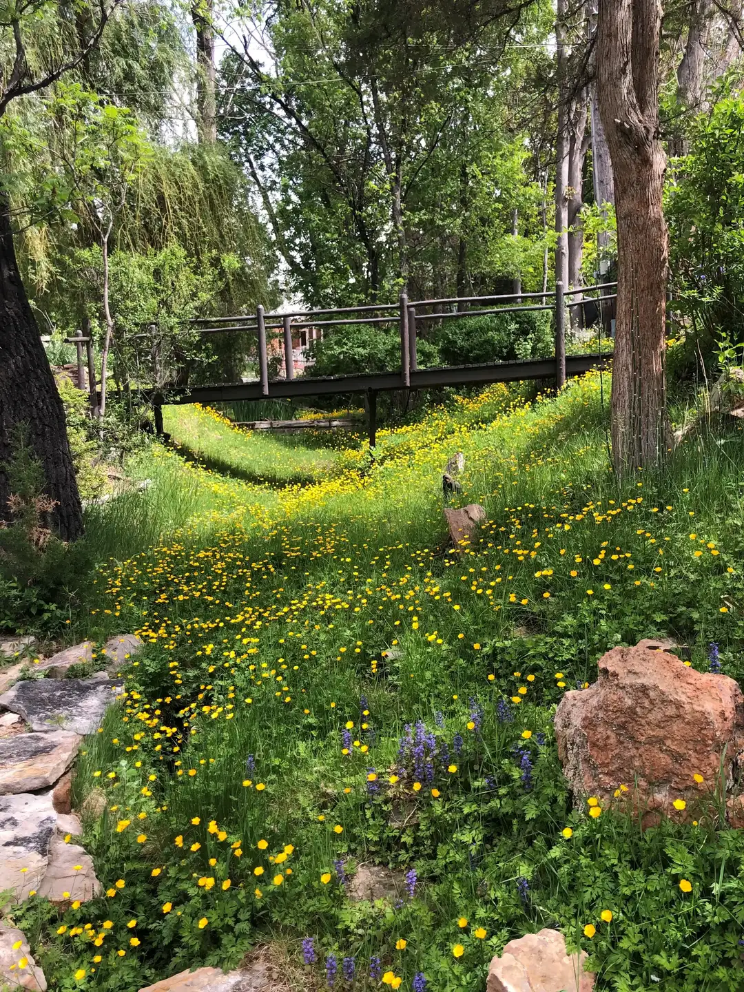 Saturday, June 6 Open Day at Conrad Family Garden