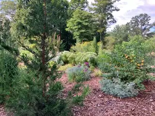 Sunday, June 28 Open Day at Tranquil Garden