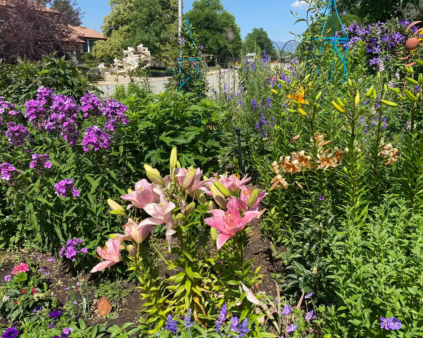 Saturday, June 20 Open Day at A Walk Through Our Garden Rooms