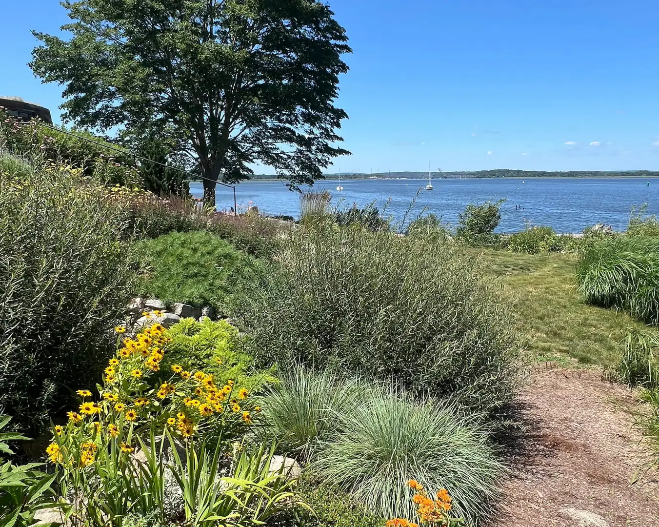 Saturday, June 13 Open Day at Riverview Gardens