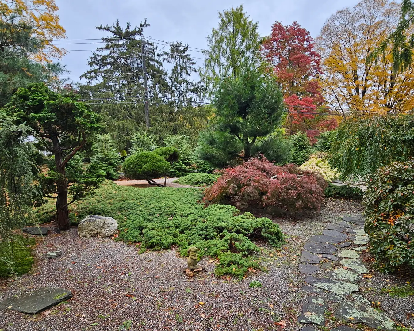 Saturday, June 13 Open Day at A Journey Through Form and Nature