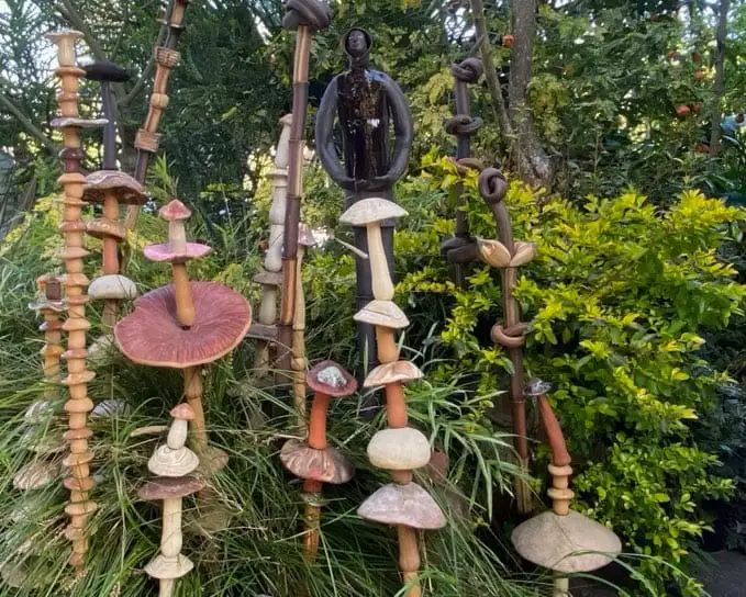 Saturday, June 27 Open Day at Marcia's Garden