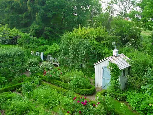 Saturday, June 13 Open Day at Broccoli Hall - Maxine Paetro