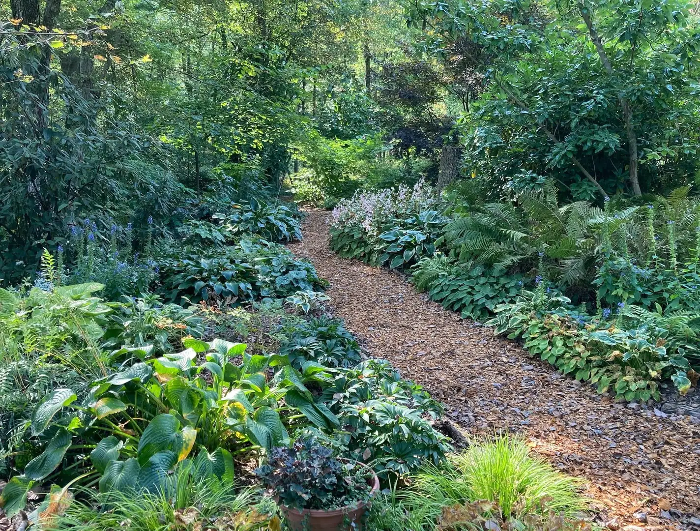 Saturday, May 16 Open Day at Snow Gardens